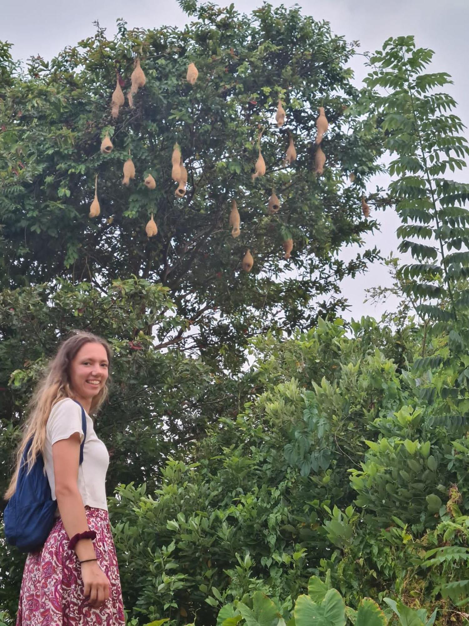 Sigiriya Rastha Hostel エクステリア 写真