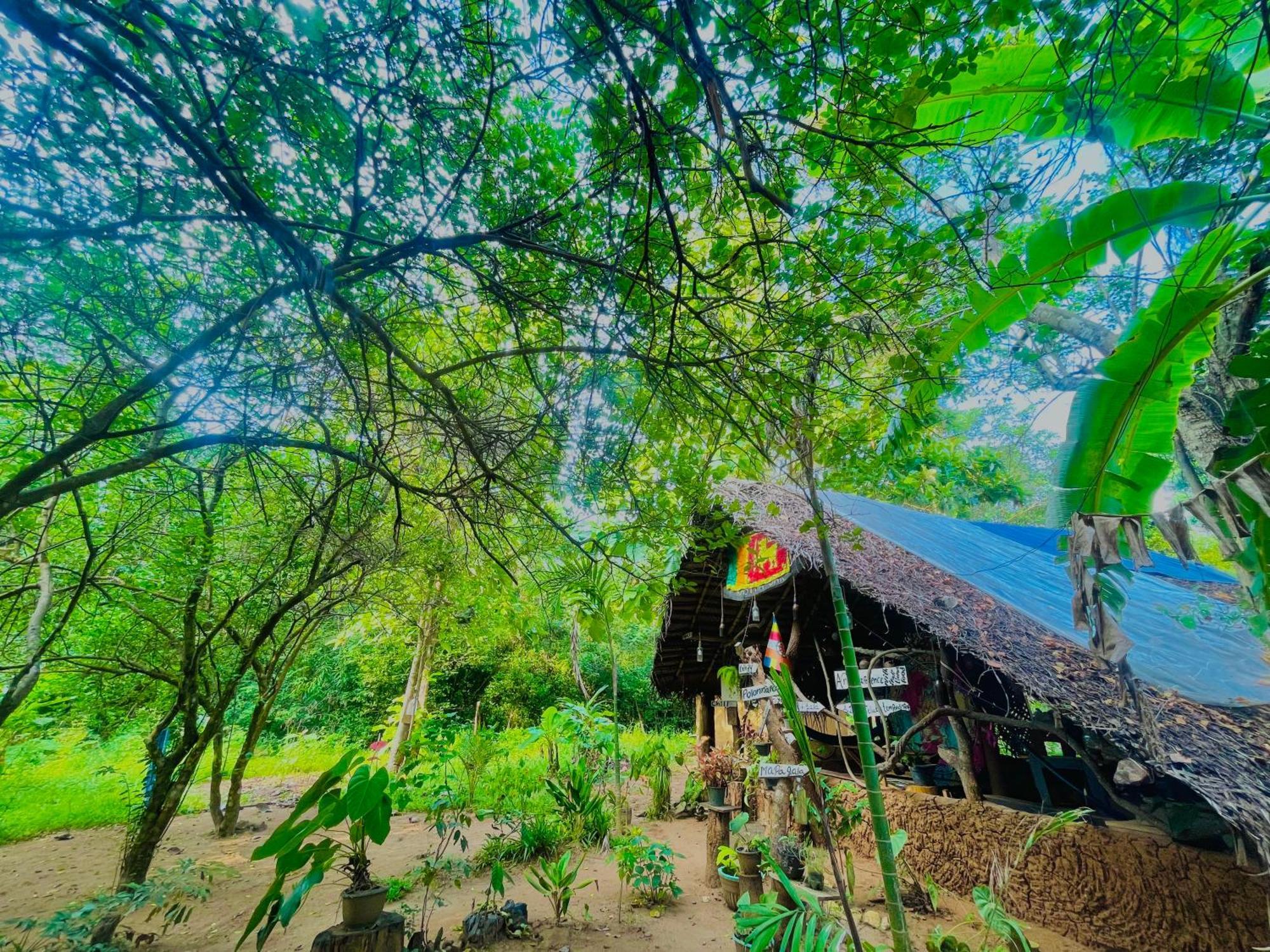 Sigiriya Rastha Hostel エクステリア 写真