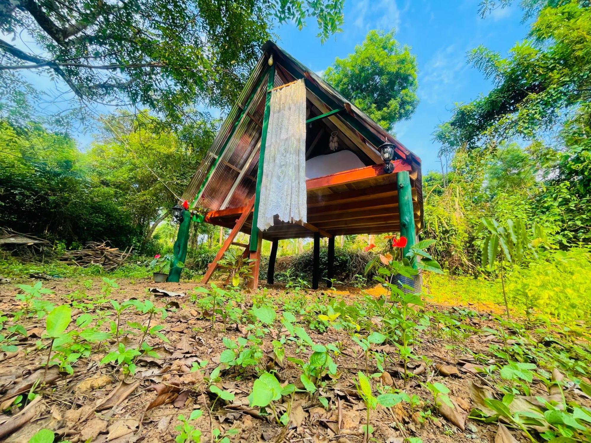 Sigiriya Rastha Hostel エクステリア 写真